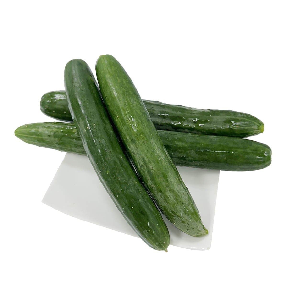 履歷小黃瓜 1公斤